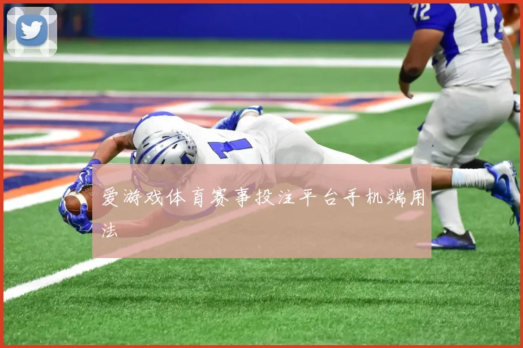 爱游戏体育赛事投注平台手机端用法