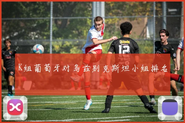 K组葡萄牙对乌兹别克斯坦小组排名