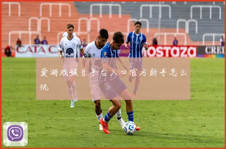 爱游戏娱乐平台入口官方新手怎么玩